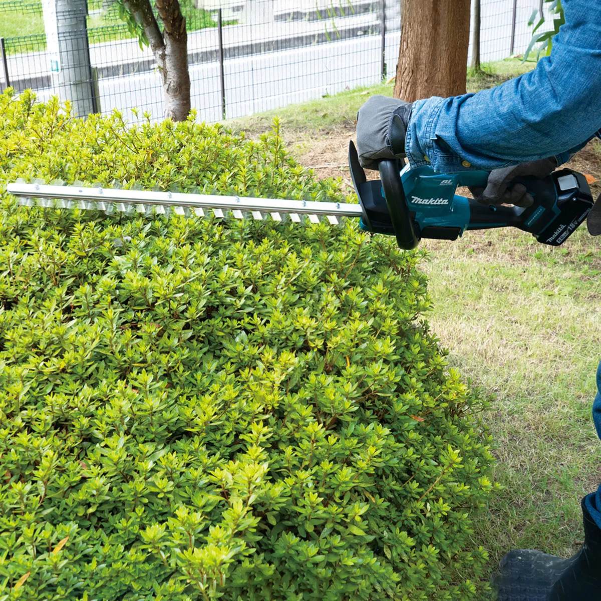Makita DUH506RT 18V LXT Brushless 50cm Hedge Trimmer With 1 x 5.0Ah Battery & Charger