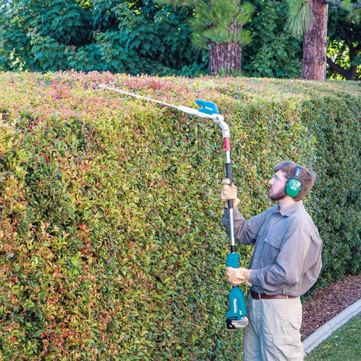 Makita DUN500WRTE 18V LXT Brushless 50cm Pole Hedge Trimmer With 2 x 5.0Ah Batteries & Charger