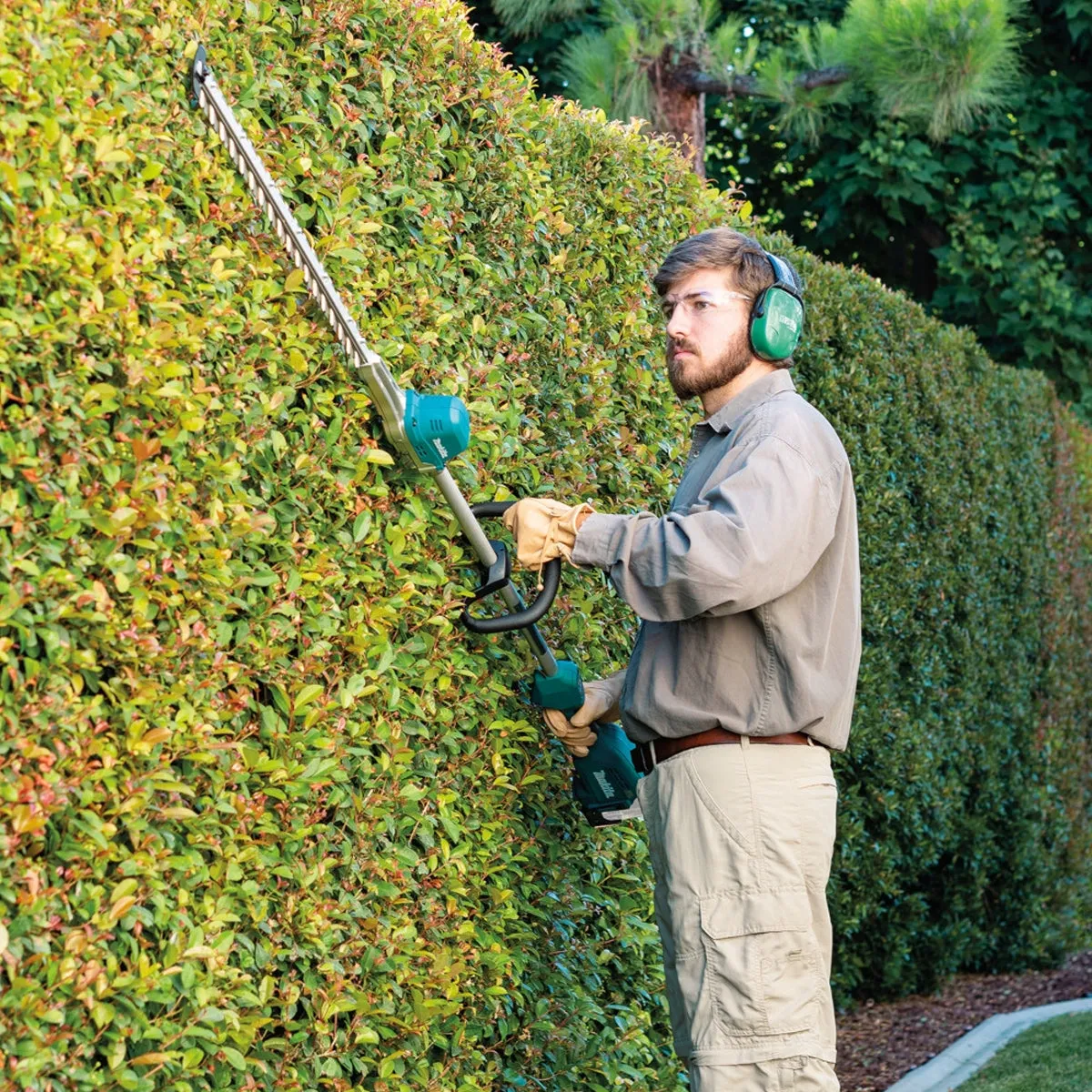Makita DUN600LRTE 18V LXT Brushless 60cm Pole Hedge Trimmer With 2 x 5.0Ah Batteries & Charger